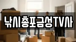 경상북도 의성군 금성면 이사,포장이사,반포장이사,원룸이사,사무실이사,용달이사,전국이사,보관이사