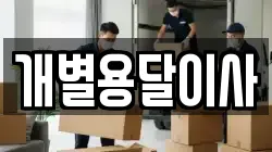 개별용달이사