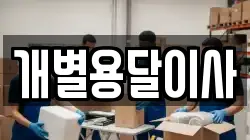 개별용달이사