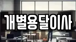 개별용달이사