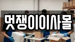 멋쟁이이사몰