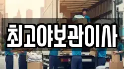 최고야보관이사