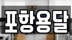 포항용달