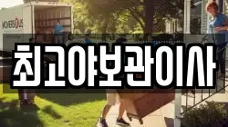 최고야보관이사