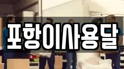 포항이사용달