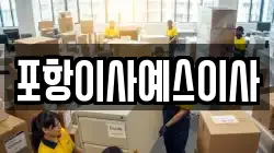 포항이사예스이사