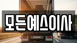 모든예스이사