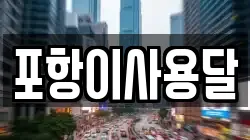 포항이사용달