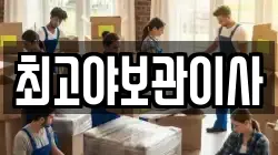 최고야보관이사