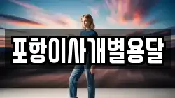 포항이사개별용달