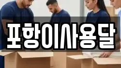 포항이사용달