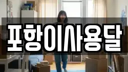 포항이사용달