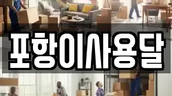 포항이사용달