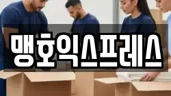 경상북도 포항시 북구 득량동 이사,포장이사,반포장이사,원룸이사,사무실이사,용달이사,전국이사,보관이사