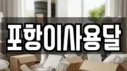 포항이사용달
