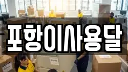 포항이사용달