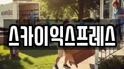스카이익스프레스