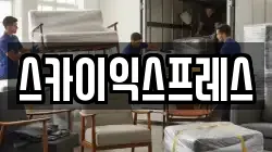 스카이익스프레스