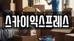 스카이익스프레스
