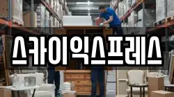 스카이익스프레스