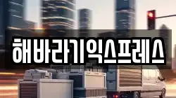 해바라기익스프레스