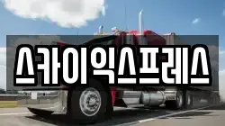 스카이익스프레스