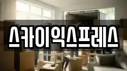 스카이익스프레스