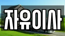 자유이사