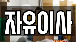 자유이사