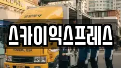 스카이익스프레스