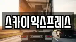 스카이익스프레스