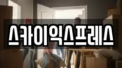 스카이익스프레스