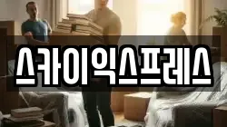 스카이익스프레스