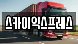 스카이익스프레스