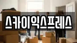 스카이익스프레스
