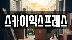 스카이익스프레스