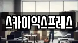스카이익스프레스