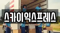 스카이익스프레스