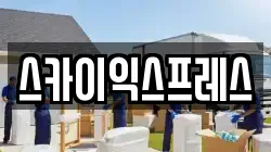 스카이익스프레스