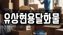 유상현용달화물