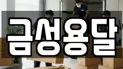 금성용달