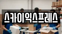 스카이익스프레스