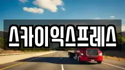 스카이익스프레스