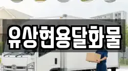 유상현용달화물