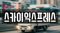스카이익스프레스