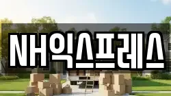 NH익스프레스