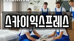 스카이익스프레스