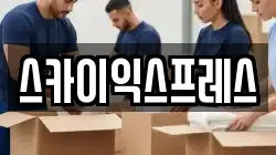 스카이익스프레스
