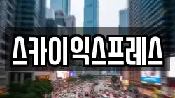 스카이익스프레스