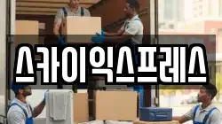 스카이익스프레스